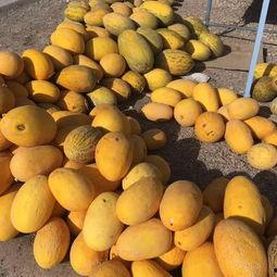 吃瓜的始终是吃瓜的,见证娱乐圈风云变幻的旁观者