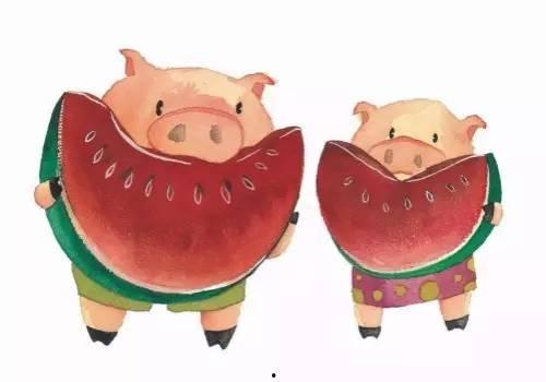 粉红的猪有瓜吃,探寻甜蜜生活的秘密