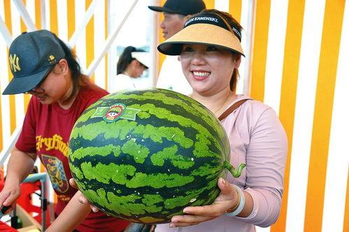 快乐吃瓜网站,带你领略网络娱乐新风尚