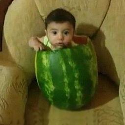 安吉吃瓜视频大全,揭秘娱乐圈幕后趣闻