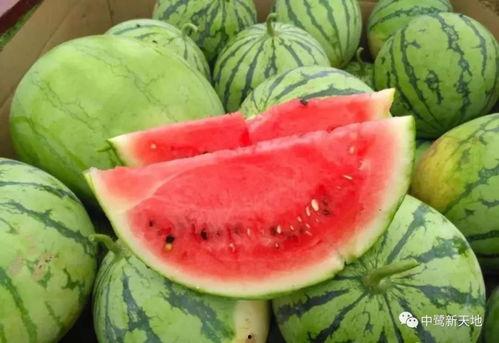 吃瓜超级快,一网打尽娱乐圈新鲜事