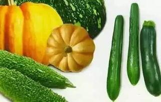 白梅瓜怎么吃最好,解锁美味新境界