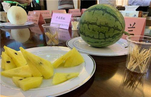 苏州吃瓜,探寻这座古城的“吃瓜”风情