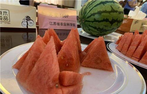 苏州吃瓜,探寻这座古城的“吃瓜”风情