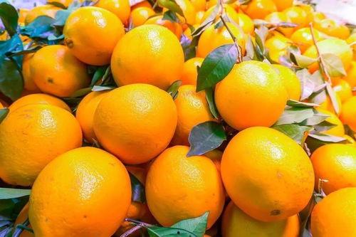 橙子家吃瓜,一场别开生面的夏日盛宴