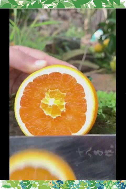 橙子家吃瓜,一场别开生面的夏日盛宴