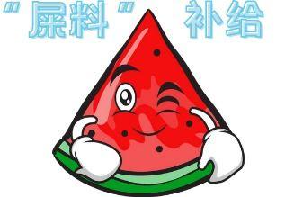 大型校园吃瓜,揭秘大型校园吃瓜盛况