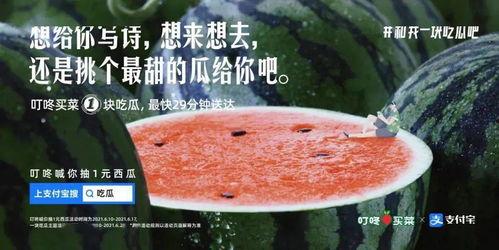 在村里吃瓜文案,瓜香四溢,共享欢乐时光