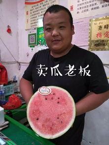 吃瓜主题玩偶,吃瓜主题玩偶萌动来袭