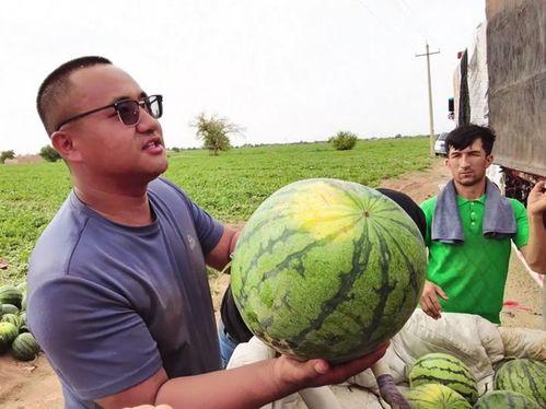 浏阳吃瓜新闻视频,揭秘当地热门事件背后的真相