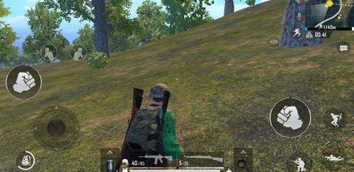 吃鸡除草瓜,探寻绿色健康生活新风尚