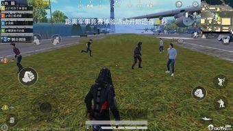 吃鸡除草瓜,探寻绿色健康生活新风尚