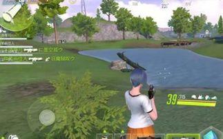 吃鸡除草瓜,探寻绿色健康生活新风尚