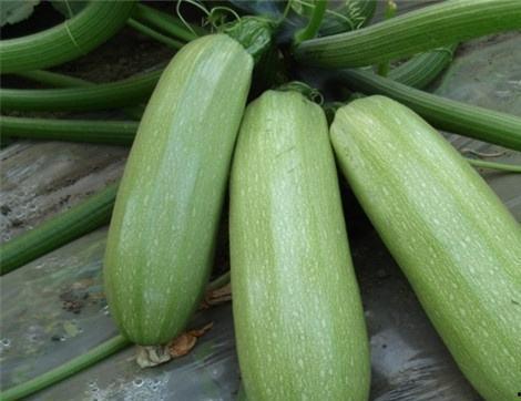 吃瓜情报处大号,带你走进娱乐圈幕后风云