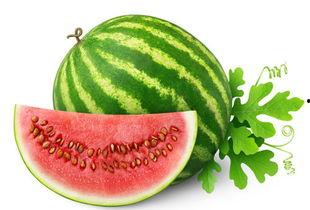 瓜怎样吃才不苦涩,美味尽享指南